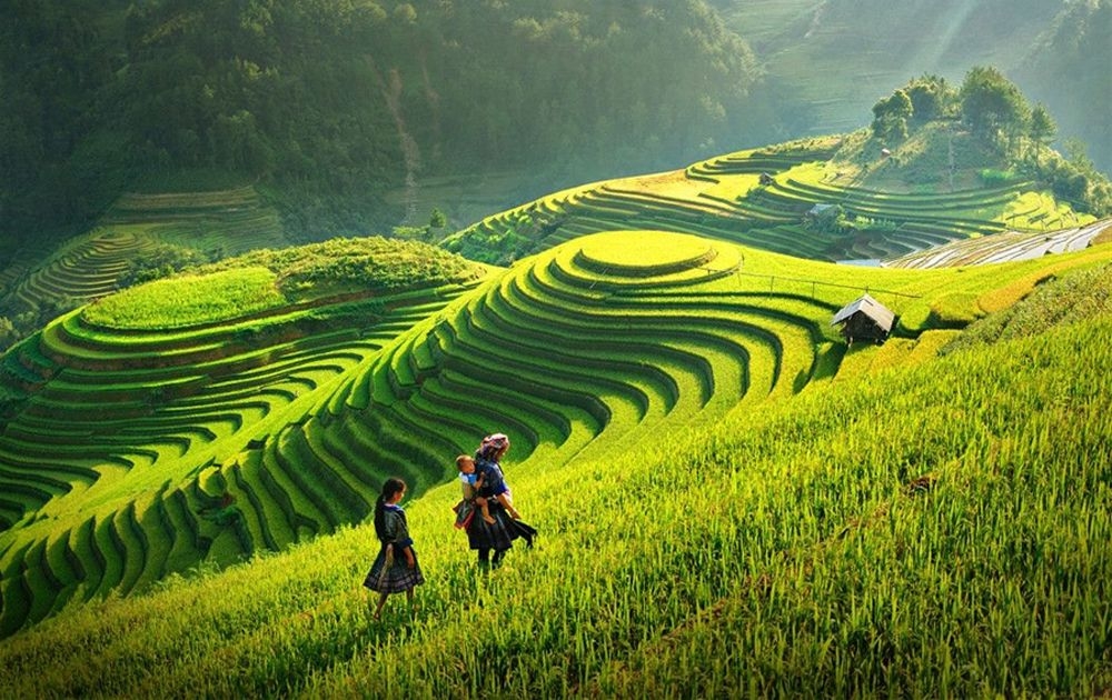TP. HỒ CHÍ MINH - MÈO VẠC - HÀ GIANG - SAPA - PHÚ THỌ - HÀ NỘI - HẠ LONG